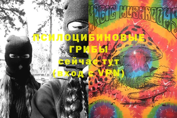 твердый Алексин