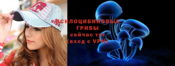 твердый Алексин