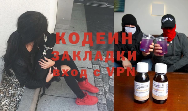 шишки Приозерск