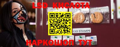 амф Кузнецк