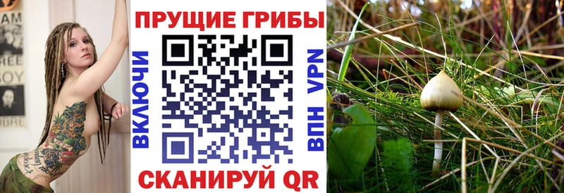 продажа наркотиков Апрелевка МЕГА сайт Галлюциногенные грибы Magic Shrooms