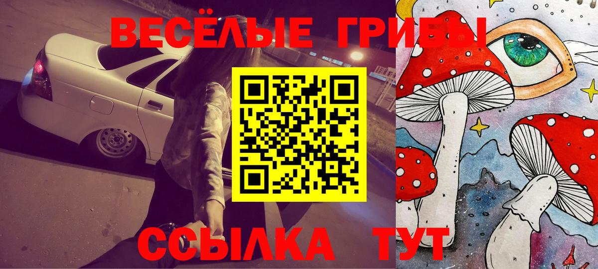 Галлюциногенные грибы Psilocybine cubensis Апрелевка